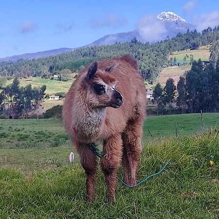 Cuscungo Cotopaxi Hostel & Lodge Chasqui Экстерьер фото