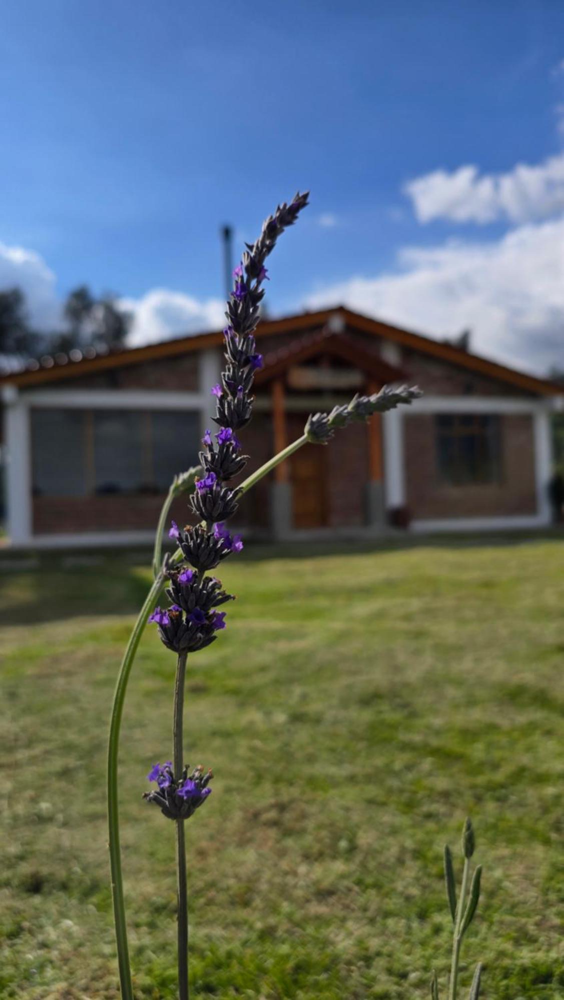 Cuscungo Cotopaxi Hostel & Lodge Chasqui Экстерьер фото