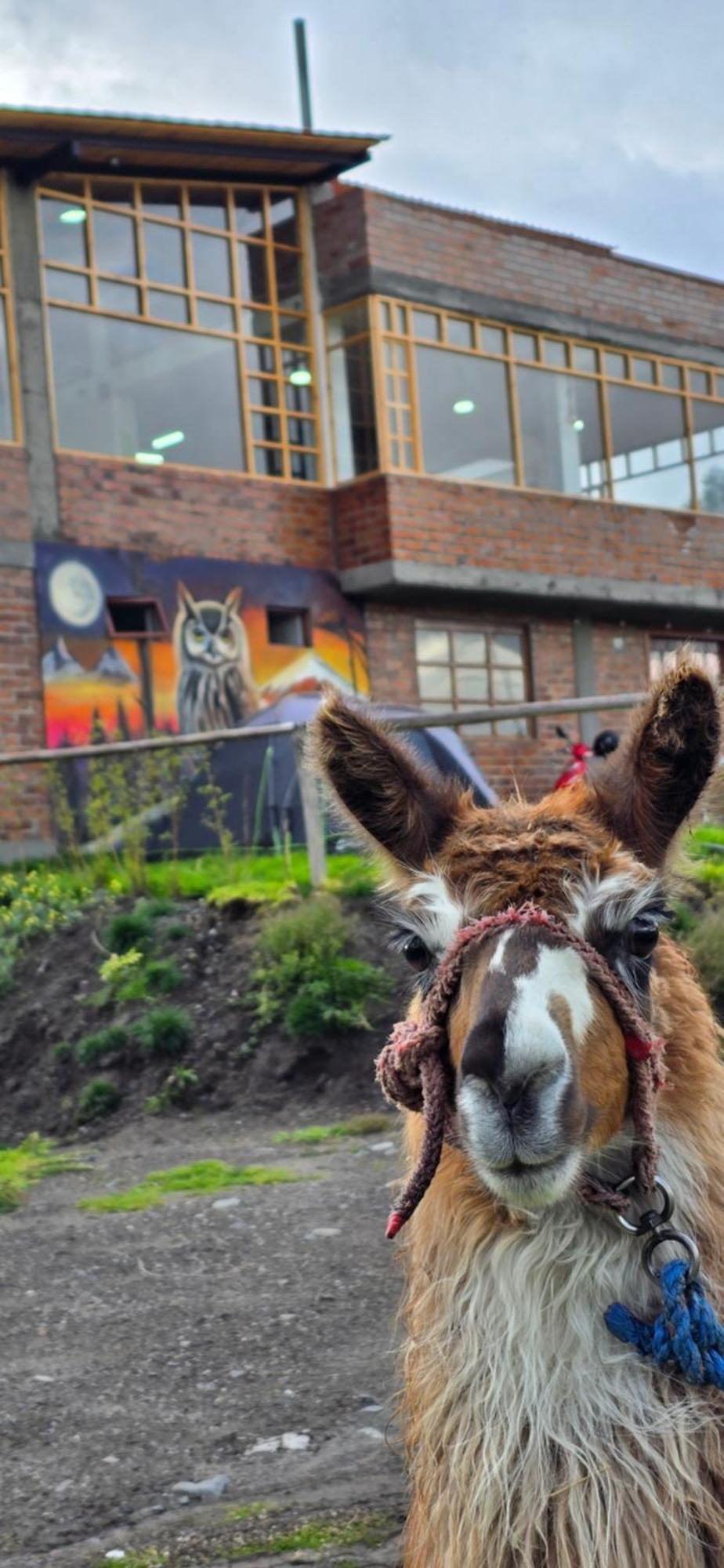 Cuscungo Cotopaxi Hostel & Lodge Chasqui Экстерьер фото